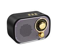 DC 5V 5W Radio FM Bluetooth Haut-Parleur AUX Carte USB TF Lecteur de Musique MP3, Violet + Argent