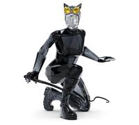 DC Catwoman OS