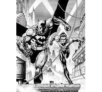 DC Comics (Batman & Nightwing 60 x 80 cm Toile Imprimée