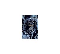 DC Comics Batman traque Maxi Poster, Bois, Multicolore