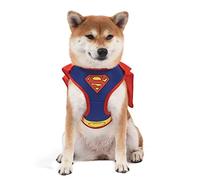 DC Comics for Pets Harnais pour Chien Superman | Harnais Anti-Traction pour Chien avec Cape de Superman | Vêtements et Accessoires pour Chiens de Taille Moyenne - Taille M, Bleu/Rouge