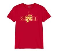 DC Comics Garçon Boshazots002 T-Shirt, Rouge, 14 Ans EU