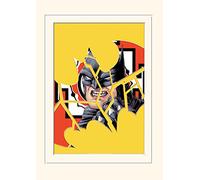 DC Comics Image + Passe-Partout 30 x 40cm - Batman Symbole