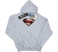 DC Comics - "Justice League" Sweat à capuche pour homme BI12680 (M) (Gris)