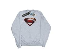 DC Comics - Sweat JUSTICE LEAGUE - Homme (BI29771)