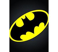DC Comics WDC90599 Toile Imprimée, Multicolore, 60 x 80 cm