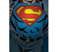 DC Comics WDC90603 Toile Imprimée, Multicolore, 60 x 80 cm