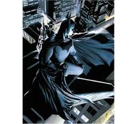 Blue Sky Studios Batman Dc Comics Crystal Poster Bleu