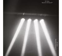 Dc Salas - The Beautiful Feelings EP [Import]