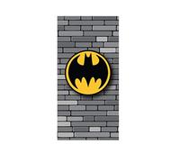 DC Serviette de Plage en Microfibre Multicolore