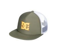 DC Shoes Casquette de baseball pour homme Motif lichen profond Vert, Vert foncé, Taille unique