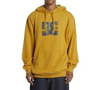 DC Shoes Homme Star Ph Sweat À Capuche De Skateboard, Tinsel, M EU