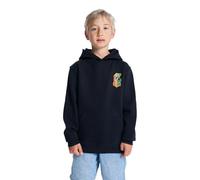 DC Shoes Insert A Coin - Sweat à Capuche - Garçon Enfant 8-16 Ans - 16/XL - Noir.