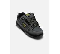 DC Shoes STAG WNT pour 45 Gris