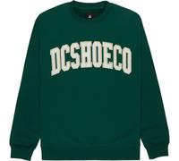 Sweatshirt DC Shoes Varsity Vert XL