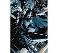 SD TOYS - Puzzle 1000 Pièces Batman, Puzzle Adultes pour Les Plus de 14 Ans, 45 x 66 cm