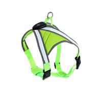 Dcaknri Harnais pour chien avec lumière LED rechargeable par USB - Ergonomique et réglable - Pour dressage de chien - Pour la marche, la natation, la randonnée