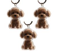 Dcaknri Lot de 2/3/4/5/10 porte-clés transparents avec compartiment pour chiens et chats - Collection de fourrures - Pendentifs - Boîte à souvenirs pour poils de chien