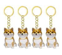 Dcaknri Lot de 2/3/4/5/10 porte-clés transparents avec compartiment pour chiens et chats - Collection de fourrures - Pendentifs - Boîte à souvenirs pour poils de chien