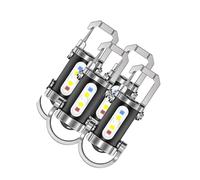 Dcaknri Lot De 4 Torches Porte-clés Étanches Et Résistantes en Alliage D'aluminium Rechargeables pour Les Conditions Humides Et Les Tâches Nocturnes Lumière Imperméable