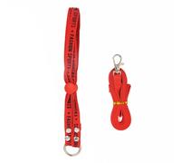 Dcaknri Outdoor Adventures Harnais confortable pour petit animal de compagnie lors d'activités d'exploration