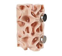 Dcaknri Ventilated Goggas Observation Habitat Featuring Climbing Tunnel Ideal for Jumping Spiders and Small Reptiles Small Animal Shelter