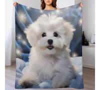 DCCCY Couverture Polaire Bichon frisé pour Le Canapé, Le Lit, Couvertures Moelleuse Flannel pour Toutes Les Saisons, 130×150cm