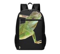 DCEHGEW Sac à dos de voyage pour ordinateur portable imprimé sur les mathématiques - Sac d'école léger pour sac à dos décontracté, sac à dos de randonnée, Lizard HD, One Size, Sac à dos de voyage
