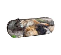DCEHGEW Trousse à crayons en cuir avec deux motifs de lions avec emplacements pour stylos, étui rigide élégant pour l'école, le bureau, les voyages, cadeau pour étudiants, hommes et femmes, Deux lions