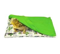 Dcfbkl Lit Dragon barbu avec oreiller et couverture confortable et chaud avec housse en peluche pour sac léopard