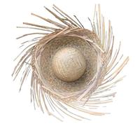 Dcfbkl Mexicanos Chapeau de paille fait main style hawaïen avec bord déchiré