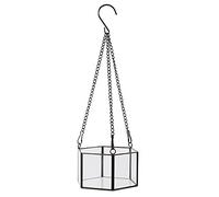 Dcfbkl Terrarium moderne en verre à suspendre en forme d'hexagone géométrique pour plantes aériennes, pot de fleurs, décoration de rebord de fenêtre, support hexagonal