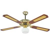 DCG TP-RMA8-6N22 Ventilateur de plafond en bois à plafond avec télécommande