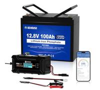 DCHOUSE 12V 100Ah LiFePO4 Bluetooth Batterie avec Chargeur 10A, jusqu'à 15000 Cycles Profonds pour Moteurs de tracteurs, Camping-Cars, Stockage d'énergie, caravanes et véhicules Hors réseau