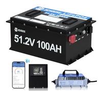 DCHOUSE 48V 100Ah Bluetooth LiFePO4 Batterie de voiturette de Golf avec Moniteur de Batterie avec Chargeur 18A, Rechargeable, pour BMS, pour systèmes solaires, campeurs, Bateaux, Camping