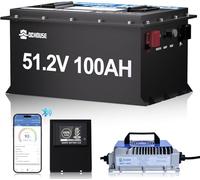 DCHOUSE 48V 100Ah LiFePO4 Golf Cart batterie avec chargeur 48V 18A Bluetooth Batterie Monitor Fonction de coupure à basse température, boîtier métallique robuste, aux voiturettes de golf