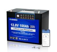 DCHOUSE Batterie au lithium LiFePO4 12V 100Ah,avec Bluetooth,protection basse température,BMS 100A intégré,jusqu'à 15000 cycles,panneau lumineux SOC pour surveiller facilement l'état de la batterie