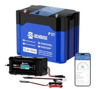 DCHOUSE Batterie LiFePO4 Bluetooth 12V 50Ah avec Chargeur 10A, Ports DC & Type-C, Cellules Lithium Grade A, Batterie Lithium 640Wh pour Moteur de Pêche, Camping-Car, Solaire, Bateau, Hors-Réseau