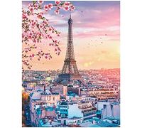 DCIDBEI 40x50CM Peintures de Diamants Carré Paysage Ville Paris Tour Eiffel Broderie diamant Kit Complet Fleurs de Pêche Adulte Enfant, Cristal Artisanat Décor d'Intérieur Maison Bureau