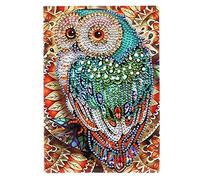 DCIDBEI Carnet de Croquis A5 Notebook Kits de Peinture Diamant 5D DIY pour Adultes Enfants 5D Hibou Carnet de Secret Journal Intime Fille Livre pour Filles et Enfants 50 Feuilles 120 Pages