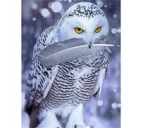 DCIDBEI Diamond Painting Chouette des Neiges 30x40 cm - Tableau Diamant Hibou - Peinture Diamant Animaux pour Adultes - Décoration Murale