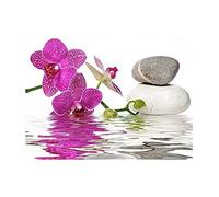 DCIDBEI Diamond Painting Orchidee 40x30cm Peinture Diamant Orchidee Boderie Diamant Orchidee Diamond Painting Paysage Orchidee Diamant Painting Orchidee Peinture par Numéros Fleurs Adulte