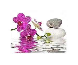 DCIDBEI Diamond Painting Orchidee 40x30cm Peinture Diamant Orchidee Boderie Diamant Orchidee Diamond Painting Paysage Orchidee Diamant Painting Orchidee Peinture par Numéros Fleurs Adulte