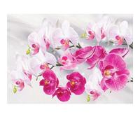 DCIDBEI Diamond Painting Orchidées 40x30cm Peinture Diamant Orchidées Broderie Diamant Orchidee Peinture par Numéros Orchidée Peinture Diamant Fleurs Orchidees Diamant Painting Fleur Orchidee