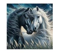 DCIDBEI DIY Diamant Peinture Chevaux 40x40cm Peinture par numéros Chevaux 5D Diamant Painting Cheval Autocollants Diamond Painting Cheval Noir Blanc Broderie Images Chevaux Animaux