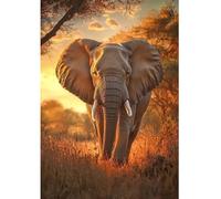 DCIDBEI DIY Diamond Painting Coucher de Soleil Éléphant 40x50cm Diamond Painting Éléphants Peinture par Numéros Elephant Animaux Puzzle Strass Autocollant Paysage Forêt Force Sagesse Longévité