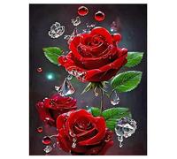 DCIDBEI Grand et clair Diamond Painting Fleurs rouges Roses 40 x 50 cm Peinture par numéros Fleurs adultes Rose rouge vif Diamond Painting Cristal Strass Fleurs Broderies Fleurs Fleurs Fleurs Broderie
