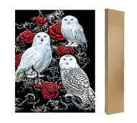 DCIDBEI Painting Hibou Rose 40x50 cm Carré Strass Perle Diamant à Coller Broderie Chouette