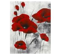 DCIDBEI Peinture au Diamant Adultes Coquelicots 40x50cm Diamond Painting Coquelicots Peinture par Numéros Fleurs Daiments Coquelicots Fleur de Vie Belle et Pourtant Mortelle Perles Diamant Fleur