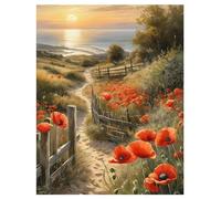 DCIDBEI Peinture au Diamant Chemin de Coquelicots 40x50 cm Diamond Painting Fleurs Puzzle Diamant Fleur Adultes Fleurs Rue de Coquelicots Chemin Romantique Ruelle Romantique Peinture Numero Fleur